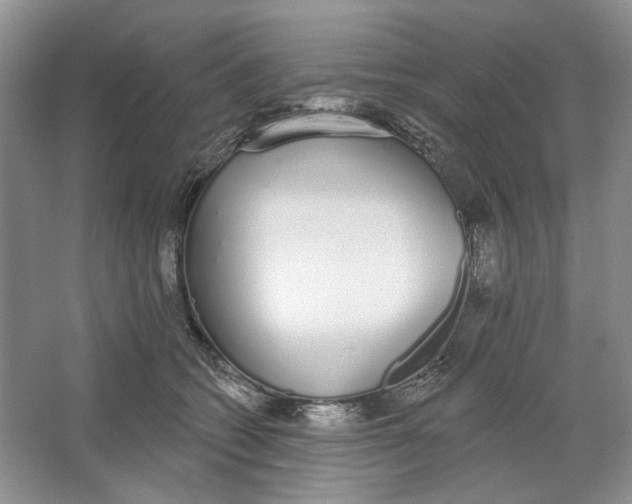 X0000064050562200602171713