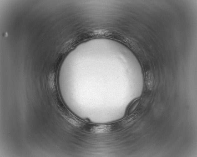 X0000064050563200602171713