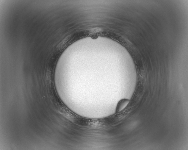 X0000064050565200602171713