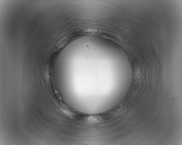X0000064050566200602171713