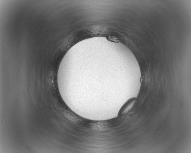 X0000064050567200602171713