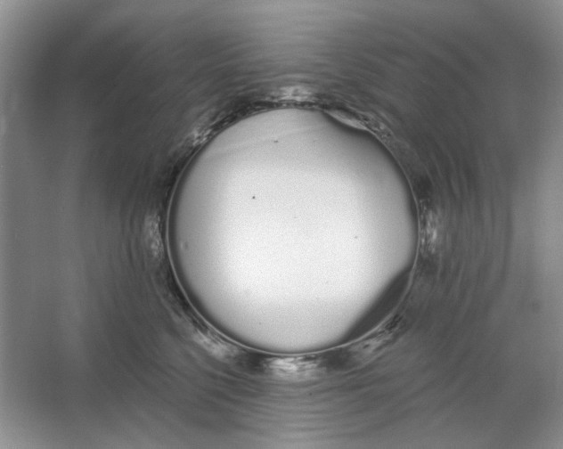 X0000064050568200602171713