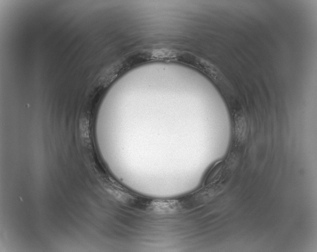 X0000064050571200602171714