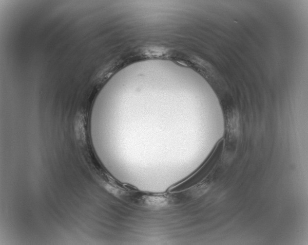 X0000064050572200602171714