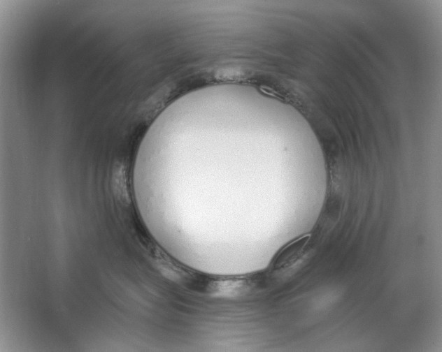 X0000064050575200602171714