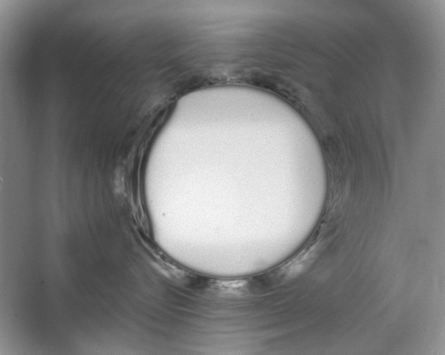 X0000064050576200602171714