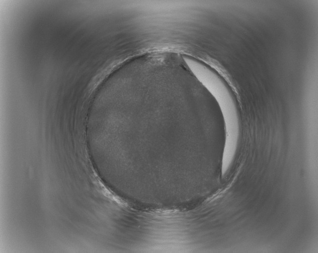 X0000064050577200602171713