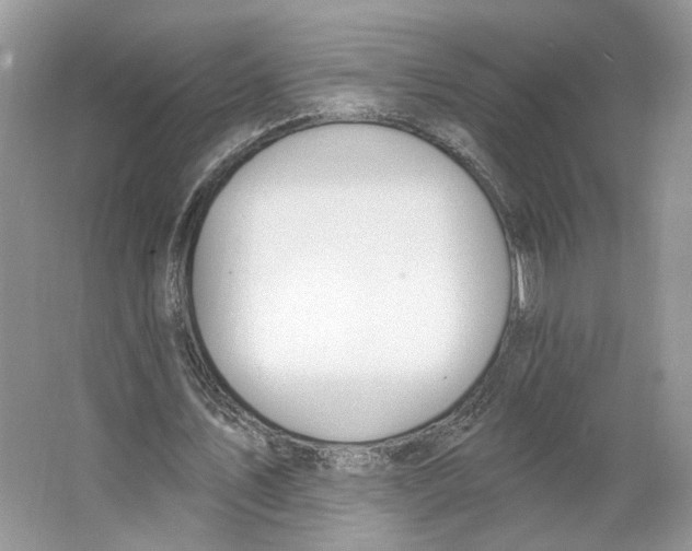 X0000064050579200602171713