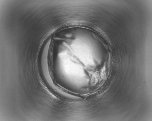 X0000064050581200602171713