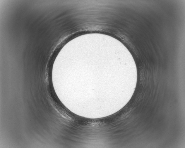 X0000064050584200602171713