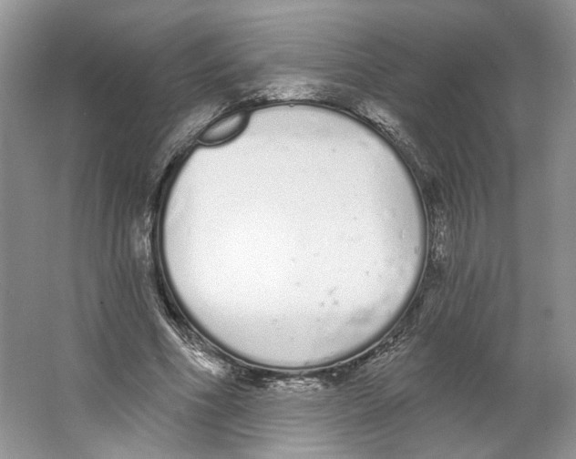 X0000064050586200602171713