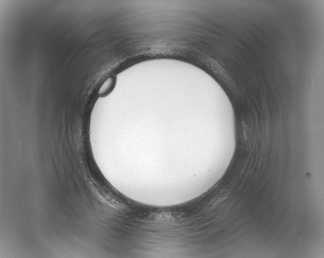 X0000064050588200602171713