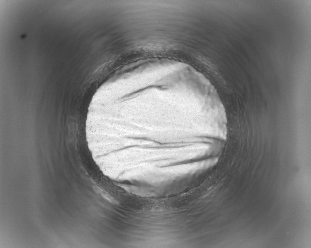 X0000064050590200602171713