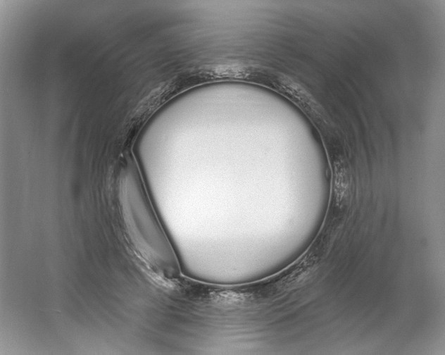 X0000064050593200602171713