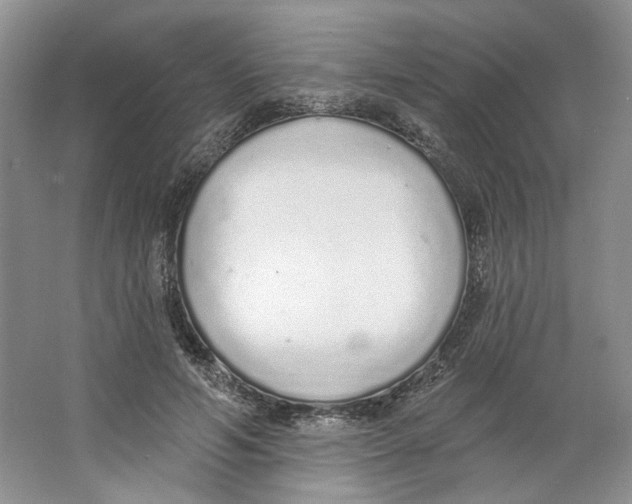 X0000064050594200602171712