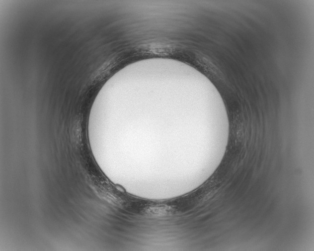 X0000064050595200602171712