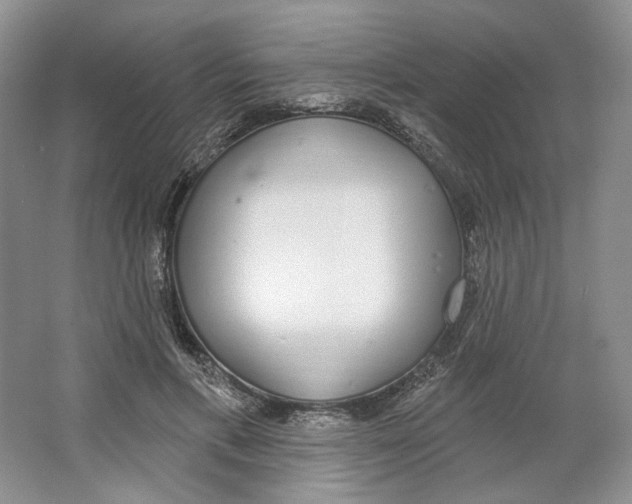 X0000064050597200602171712