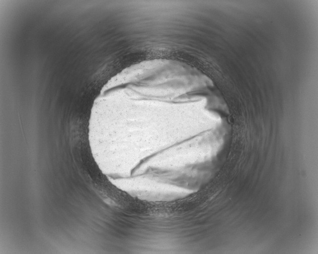 X0000064050598200602171712