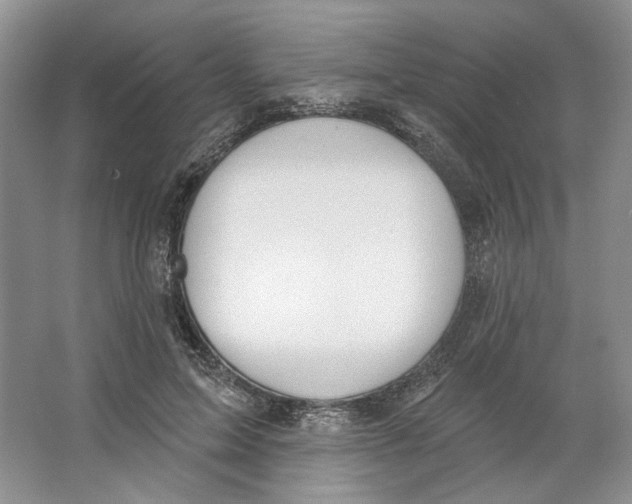 X0000064050599200602171712