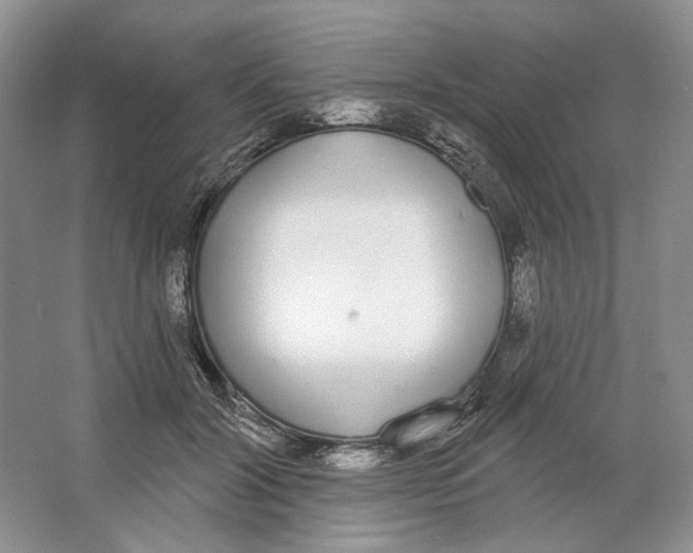 X0000064050604200602171712