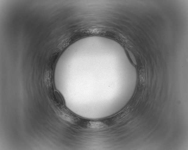 X0000064050605200602171712