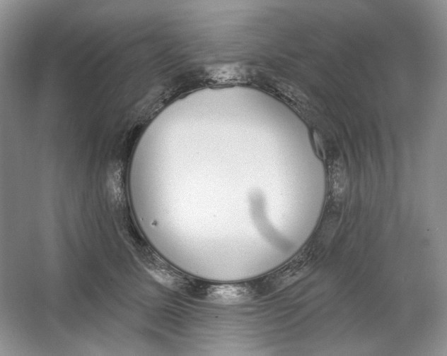 X0000064050611200602171712