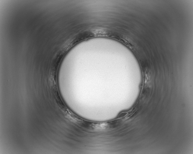 X0000064050618200602171712