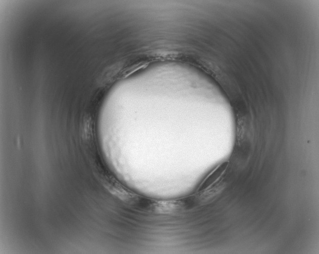 X0000064050623200602171712
