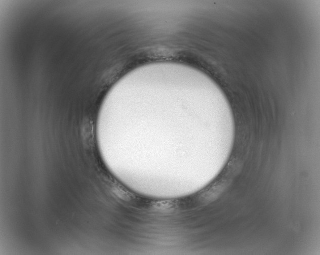 X0000064050624200602171712