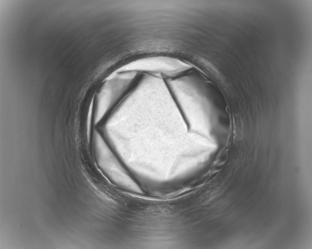 X0000064050627200602171711