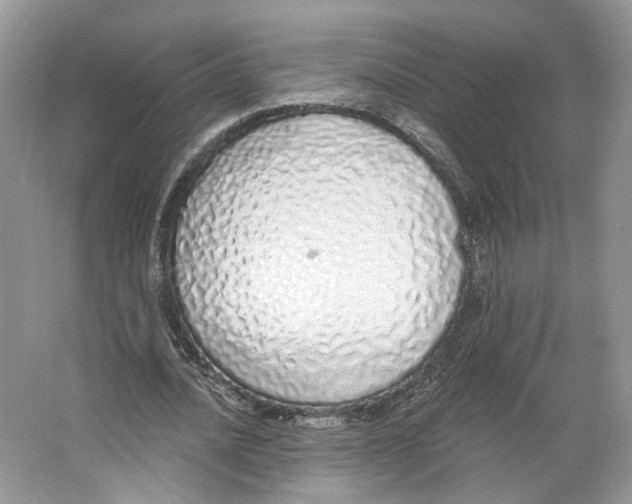 X0000064050628200602171711