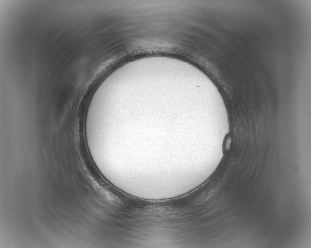 X0000064050629200602171711