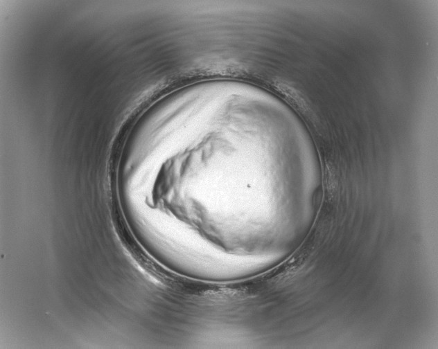 X0000064050630200602171711