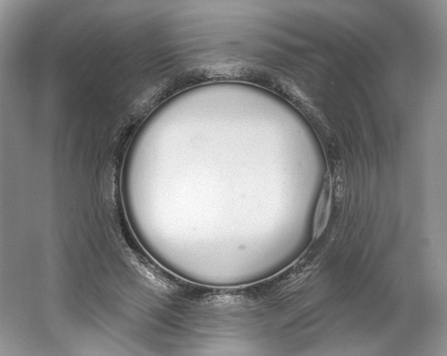 X0000064050637200602171711