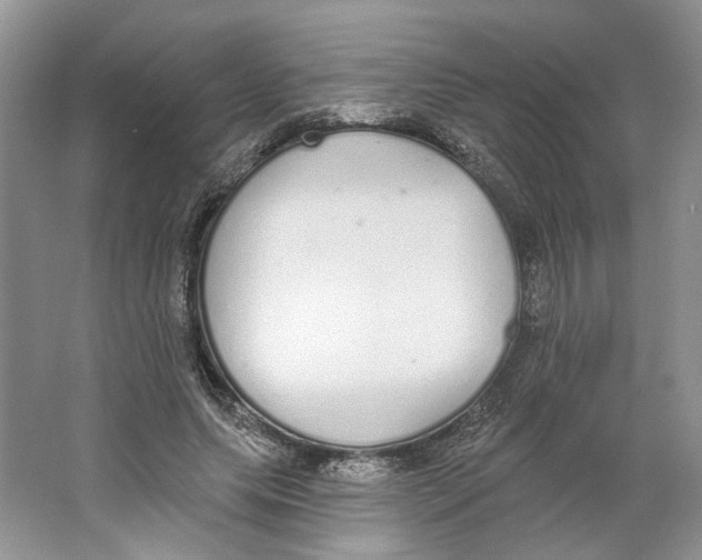 X0000064050639200602171711