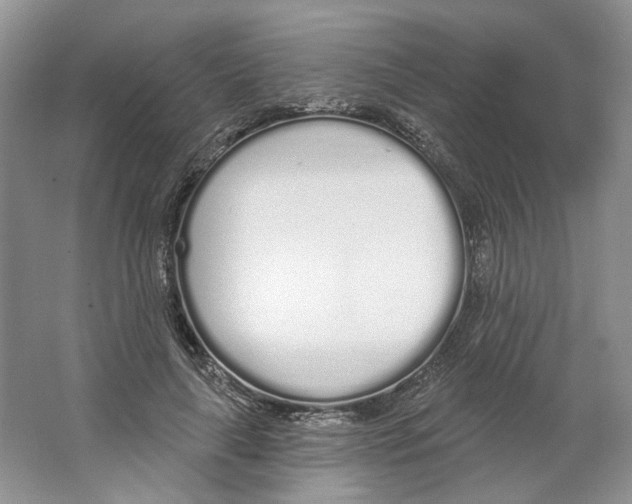 X0000064050643200602171711