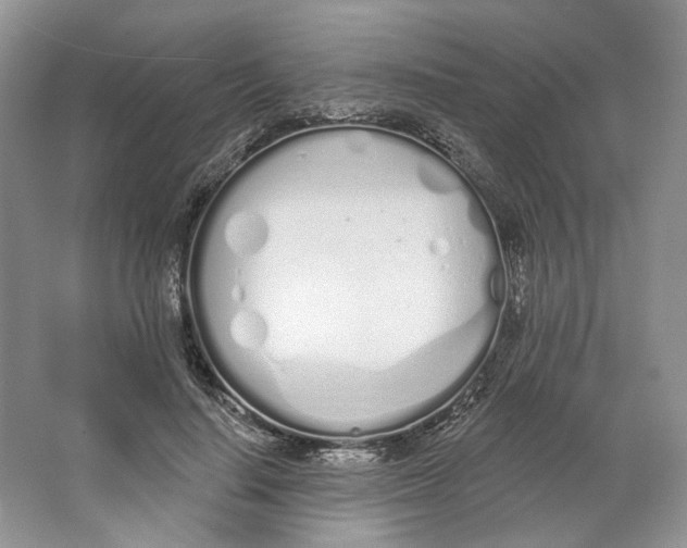 X0000064050644200602171711
