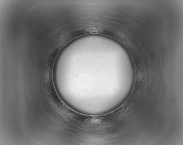 X0000064050647200602171712
