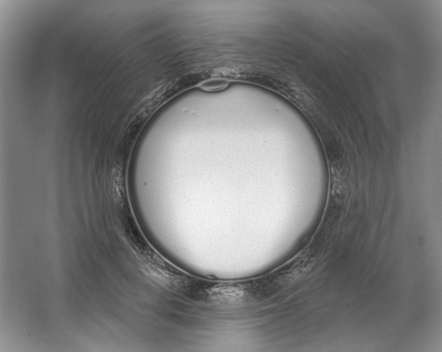 X0000064050648200602171712