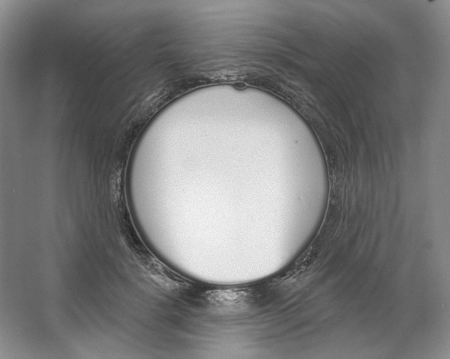 X0000064050652200602171712