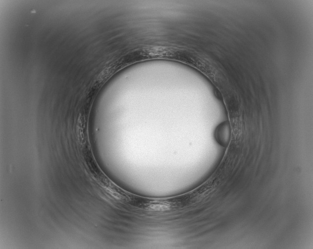 X0000064050653200602171712