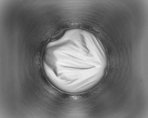 X0000064050654200602171712