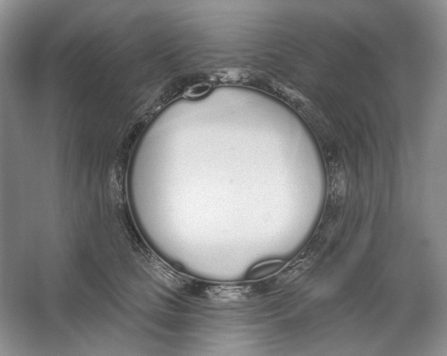 X0000064050661200602171712