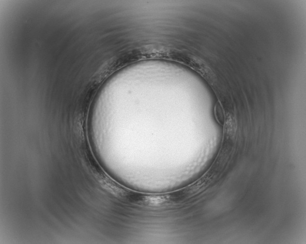 X0000064050662200602171712