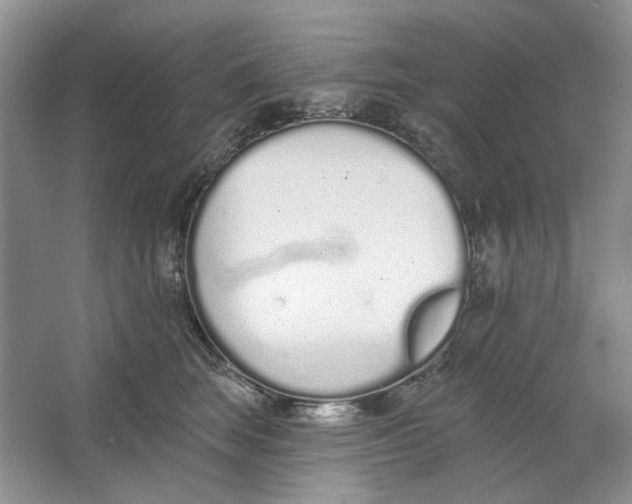 X0000064050663200602171712
