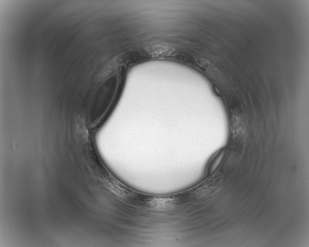 X0000064050664200602171712