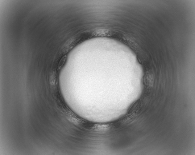 X0000064050665200602171712