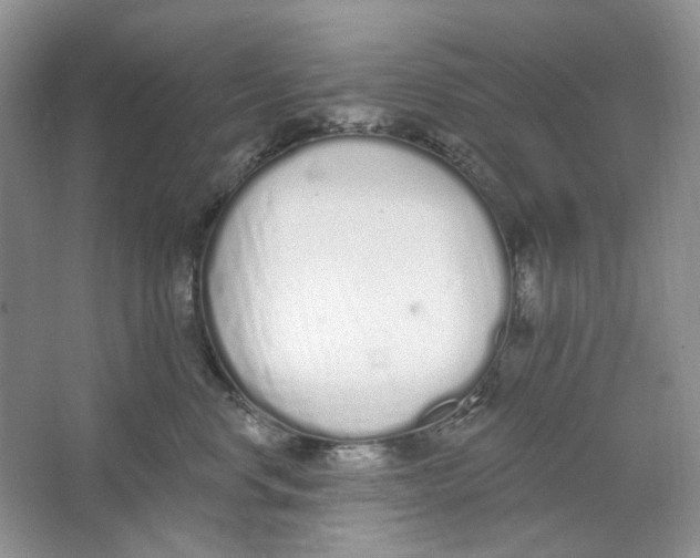 X0000064050668200602171712