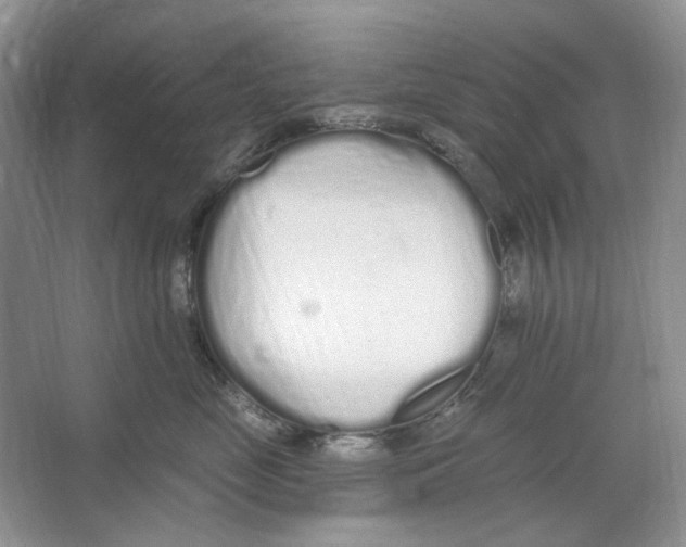 X0000064050669200602171712