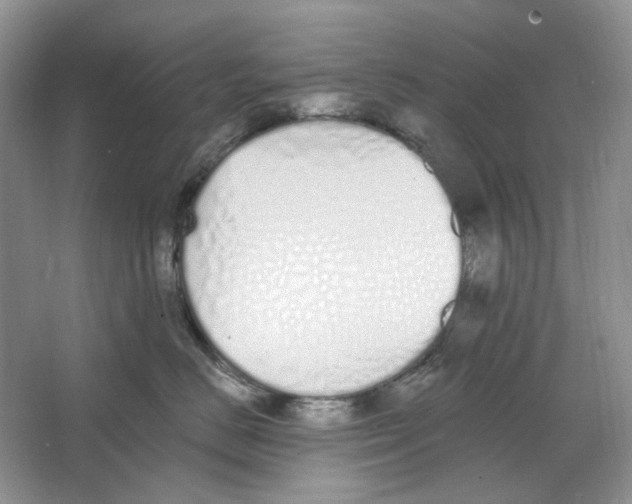 X0000064050670200602171712